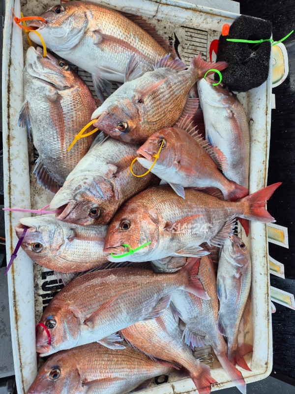 KakaoTalk_Image_2026-10-14-20-57-40_002.jpeg