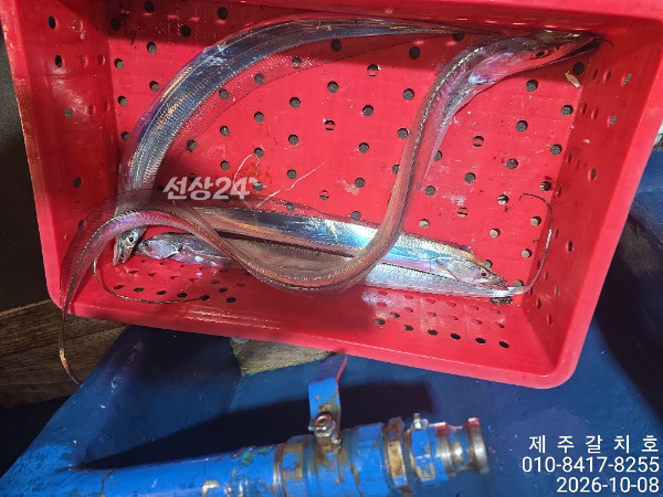 68629.jpg