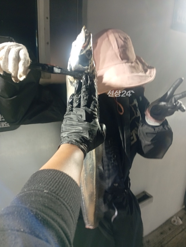 F4EB2562-1A70-419D-BA83-4CB8A02AFDAA.jpeg