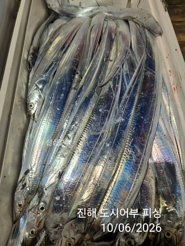 KakaoTalk_20261006_045311778_14.jpg