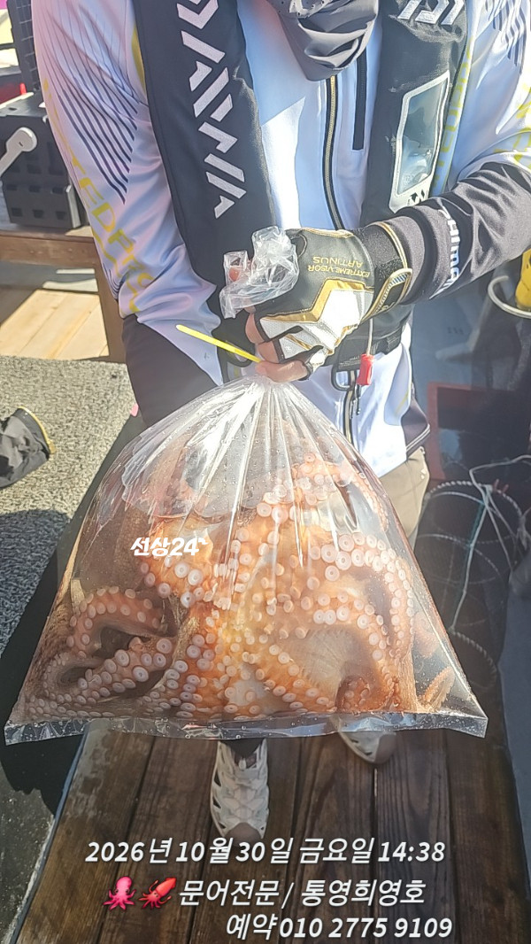 85670.jpg