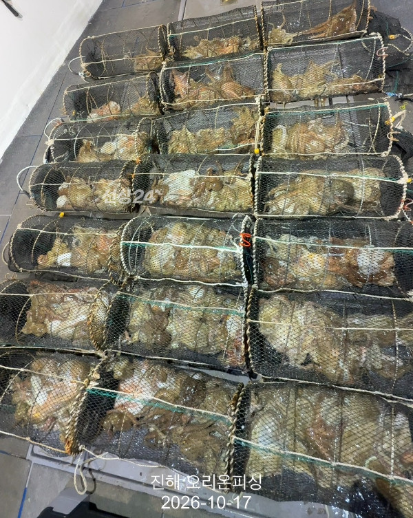 KakaoTalk_20261017_111259593_14.jpg