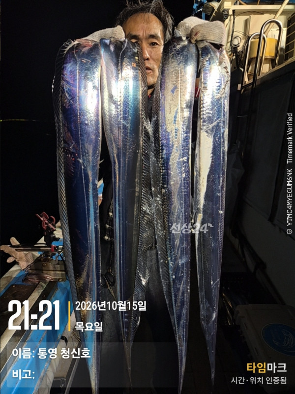 통영청신호입니다_사진_20261016_9.jpg