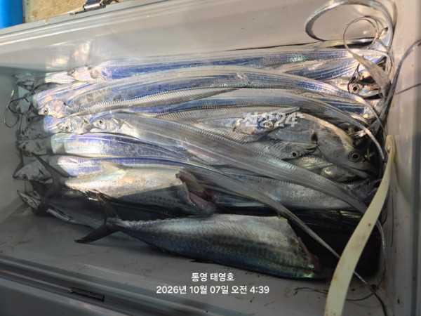 KakaoTalk_20261007_044540424_16.jpg