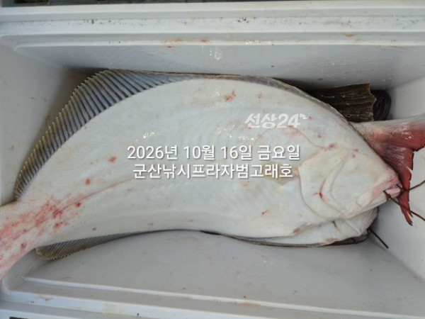 KakaoTalk_20261016_163731307_04.jpg