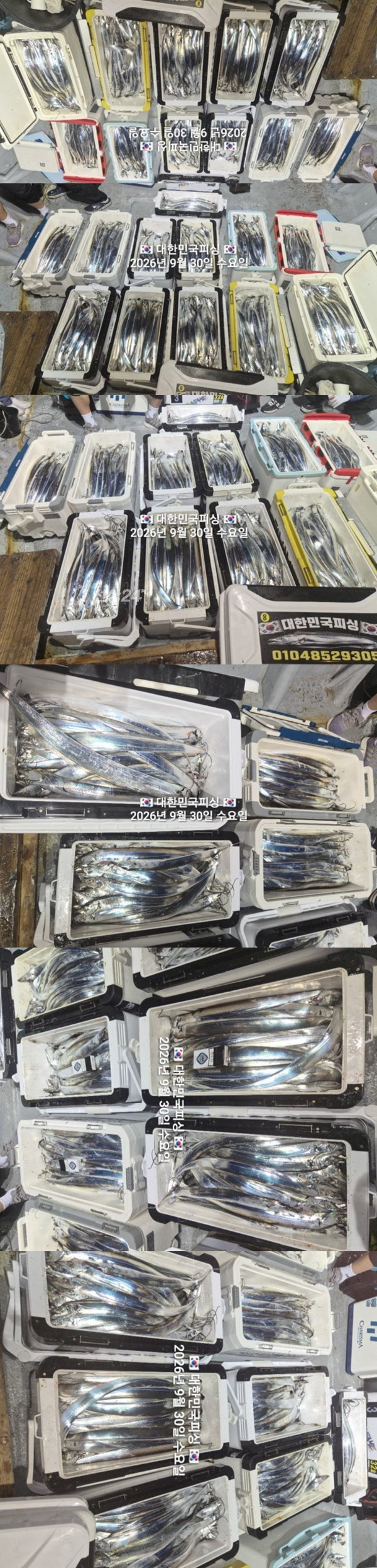 갈치3.jpg