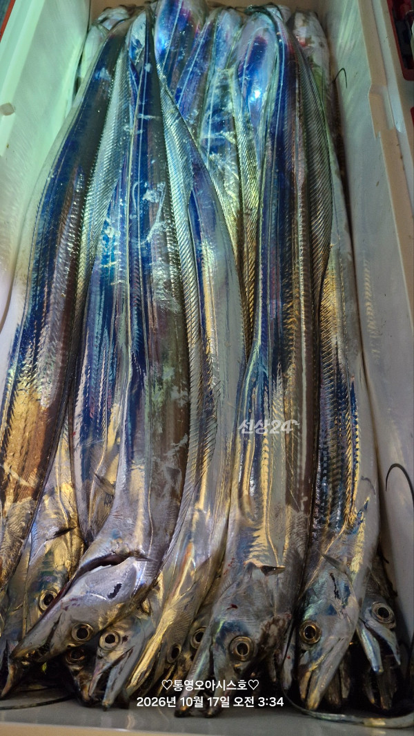 84553.jpg