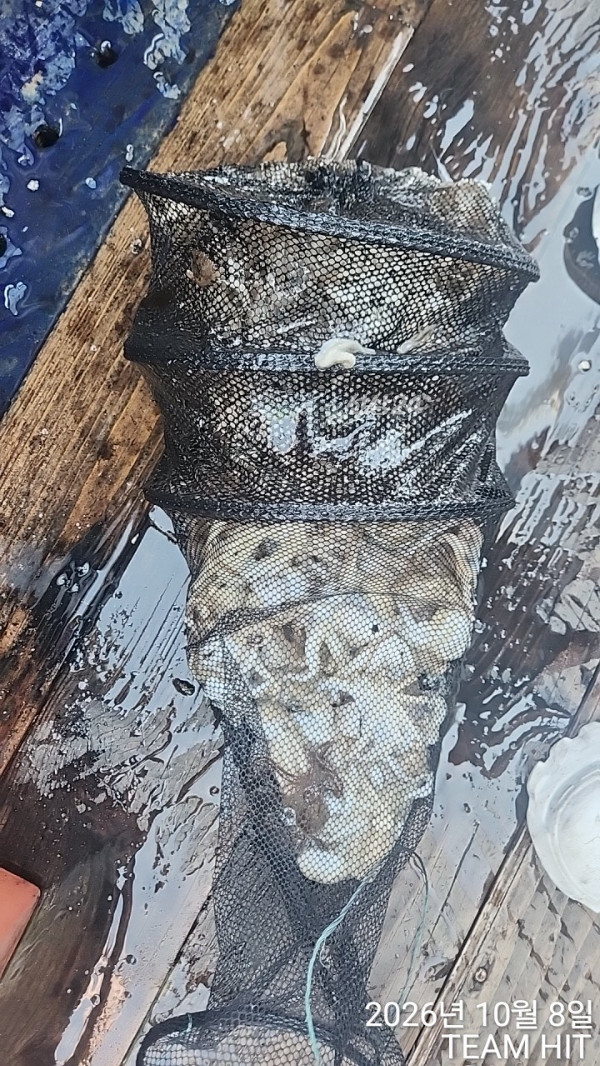 1000061578.jpg
