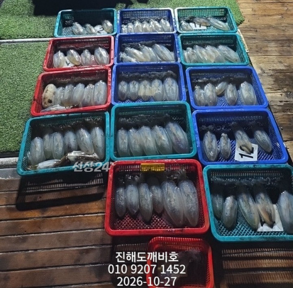 10214.jpg