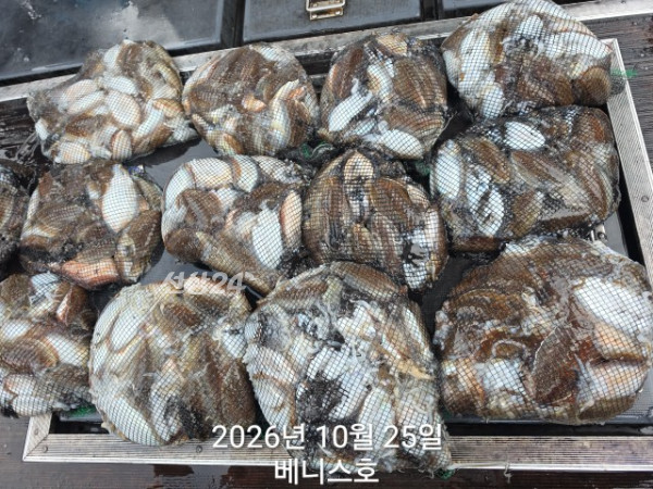 KakaoTalk_20261025_161949424_01.jpg