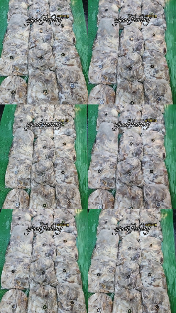 KakaoTalk_20261012_184611127_02.jpg