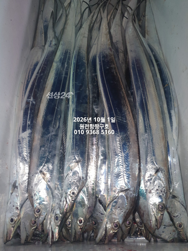KakaoTalk_20261001_132603487_08.jpg