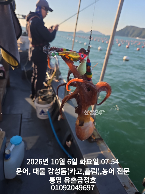 1000061797.jpg
