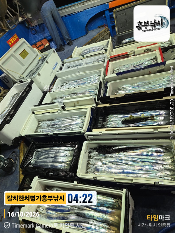 20261016_042259_Japan_제목-갈치한치명가흥부낚시.jpg