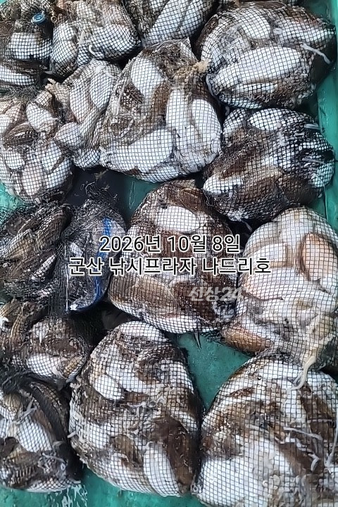 KakaoTalk_20261008_161614168_01.jpg