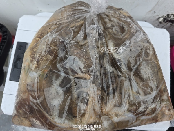 49484.jpg