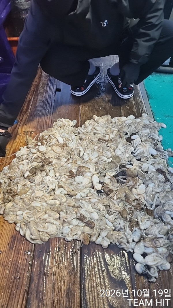 1000062316.jpg