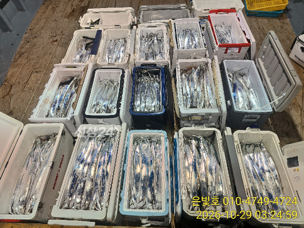 fbd954a1f239ef85d5668be94fcd4559.jpg