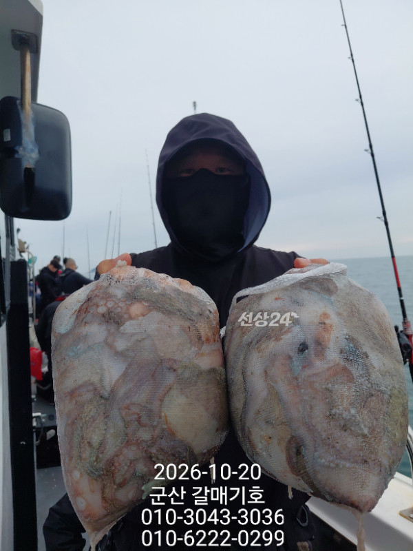 12521.jpg