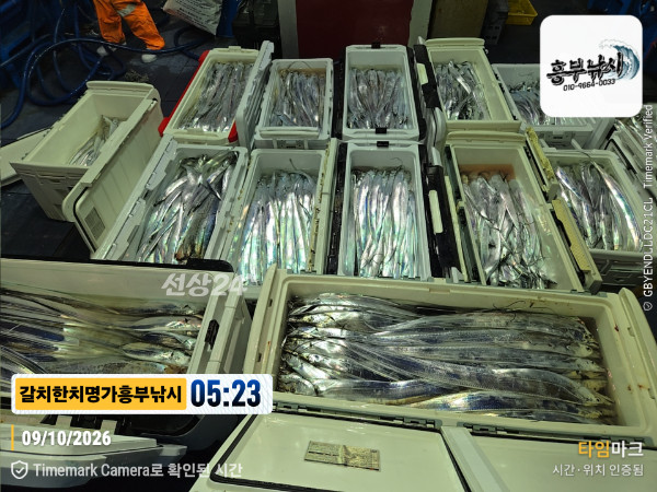 20261009_052346_Japan_제목-갈치한치명가흥부낚시.jpg