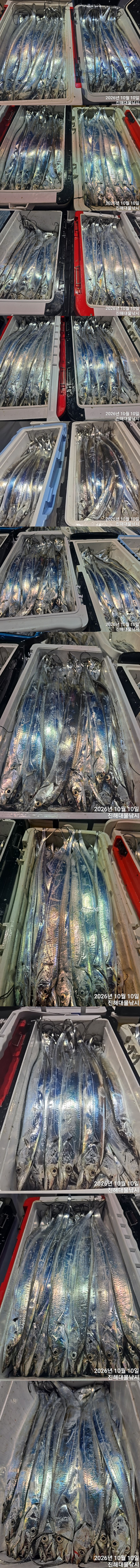 칼치3.jpg