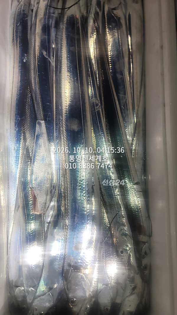 1791611603960.jpg