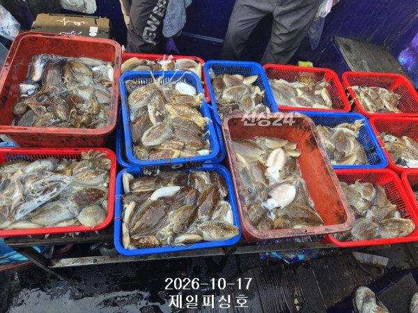 [꾸미기]1792220108909.jpg