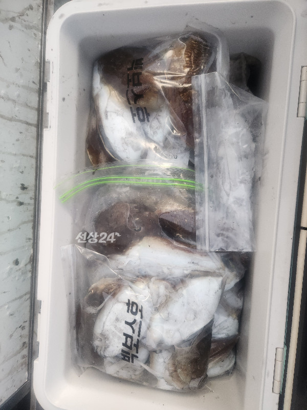 KakaoTalk_20261019_201137230_07.jpg