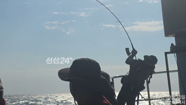 TimeVideo_20261010_090514.jpg
