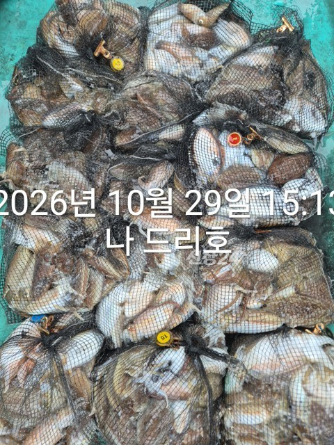 KakaoTalk_20261029_155252711.jpg