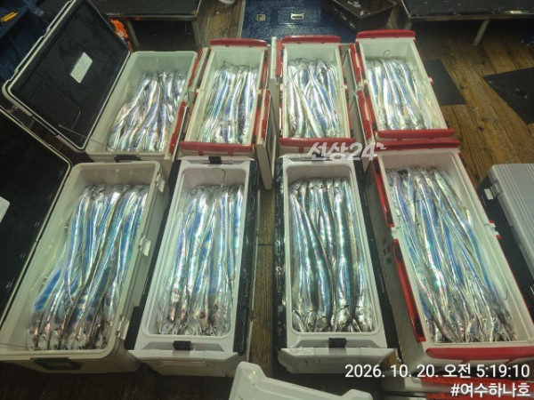 KakaoTalk_20261020_075626256_07.jpg