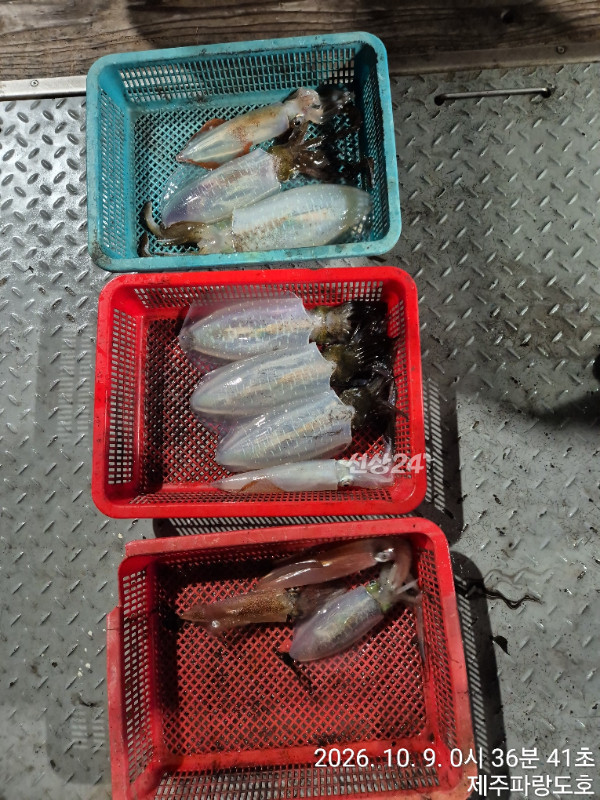 1000021627.jpg