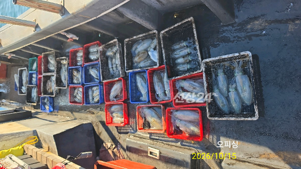 42923.jpg