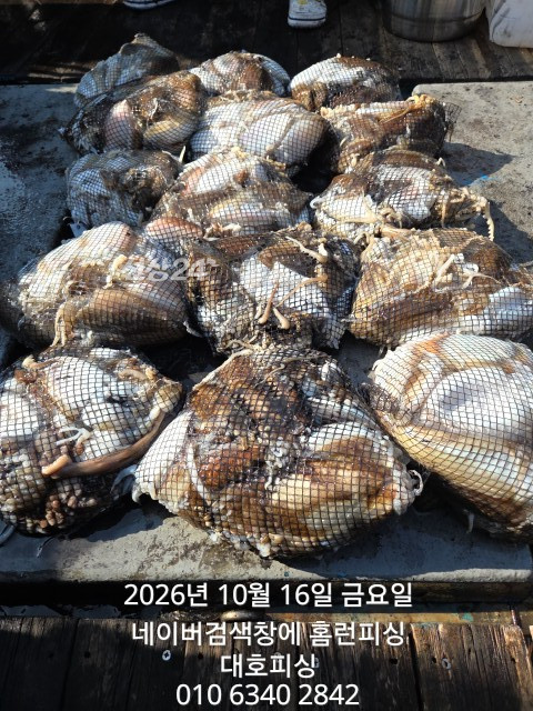1000020077.jpg