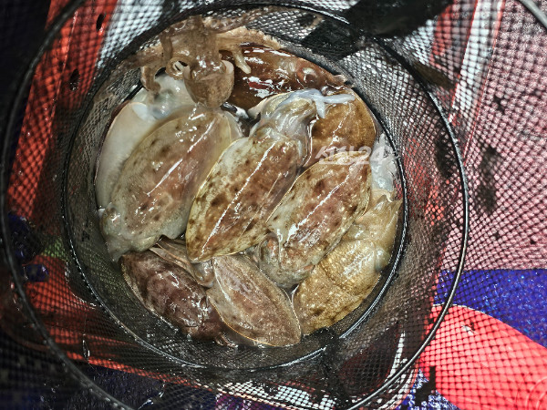 KakaoTalk_20261024_170829010_07.jpg