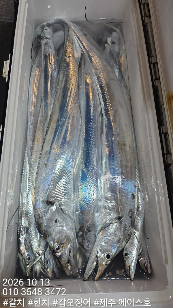 KakaoTalk_20261013_120424020_09.jpg
