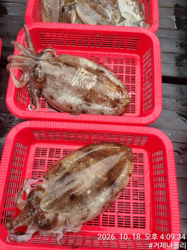 KakaoTalk_20261019_144132403_03.jpg