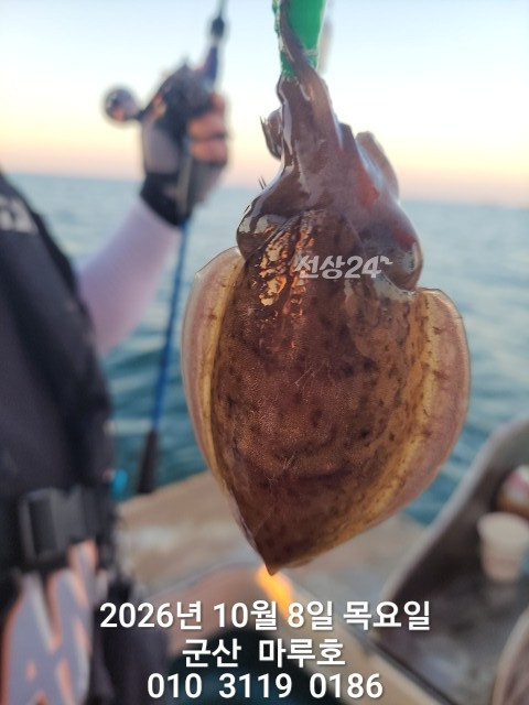 KakaoTalk_20261009_162847751_11.jpg