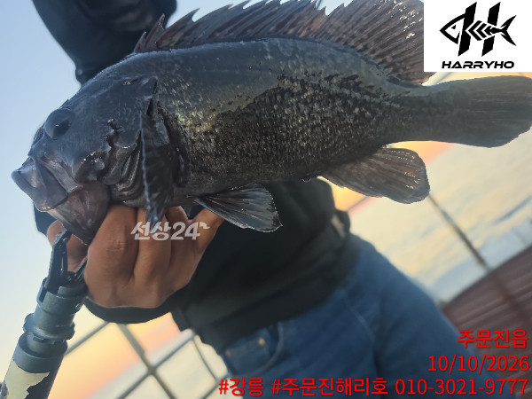 KakaoTalk_20261010_153755874_02.jpg