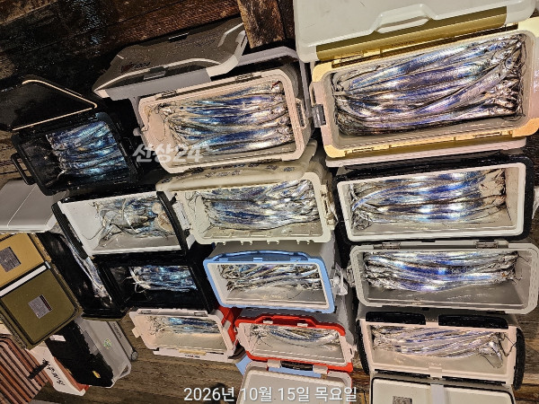 C240D32F-150A-446A-9C7D-6AA8A9008709.jpeg