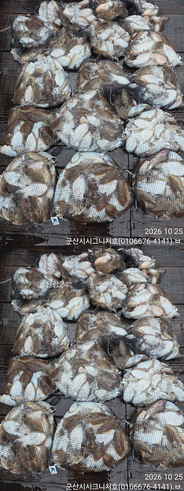 KakaoTalk_20261025_184112388_01-vert1111111111.jpg