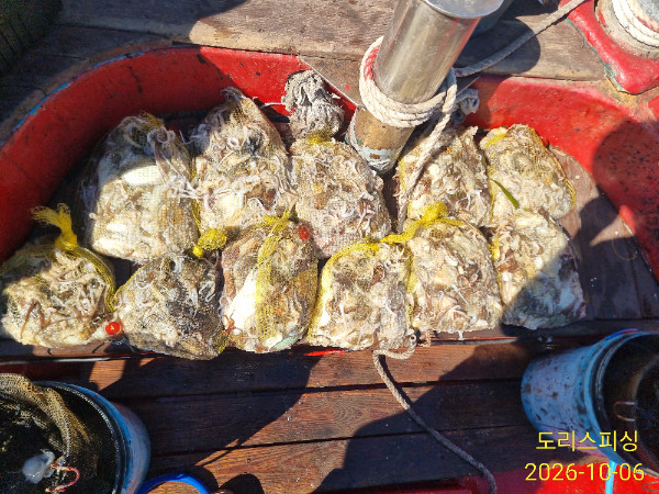 IMG_20261006_142520.jpg