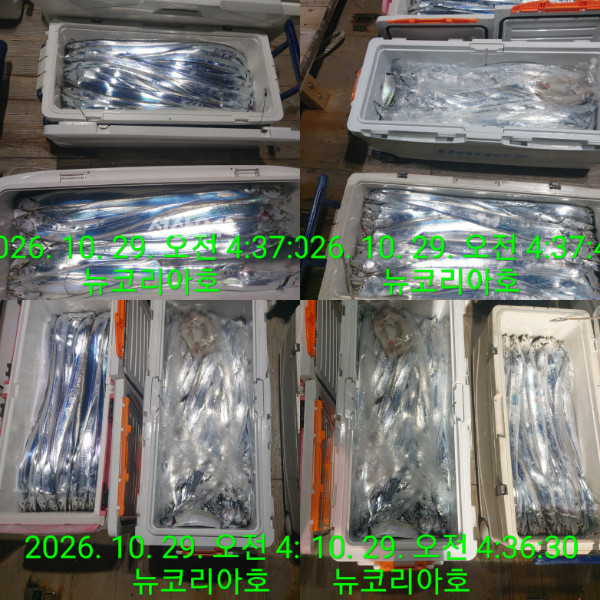 1000104293.jpg
