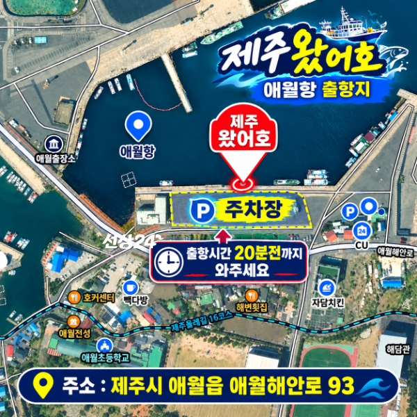 제주왔어호_사진_20261030_14.png