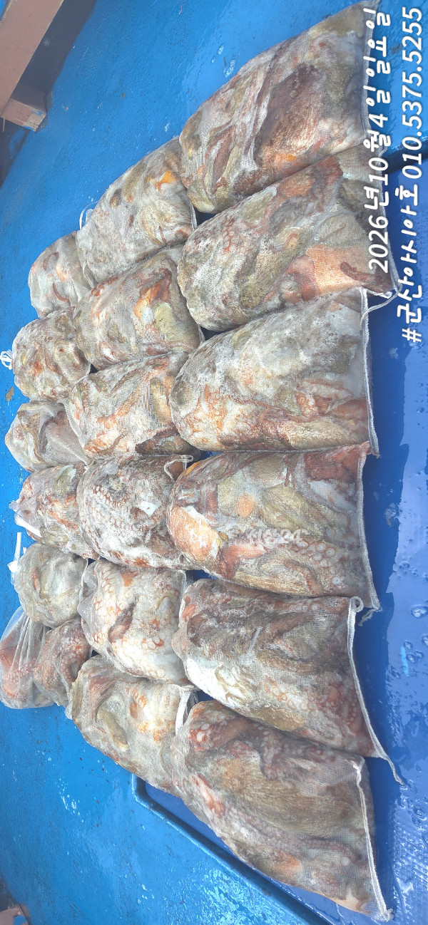 1791102306842.jpg