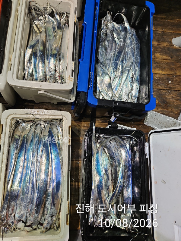 KakaoTalk_20261008_051056035_12.jpg