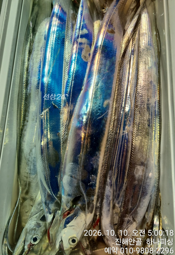109200.jpg