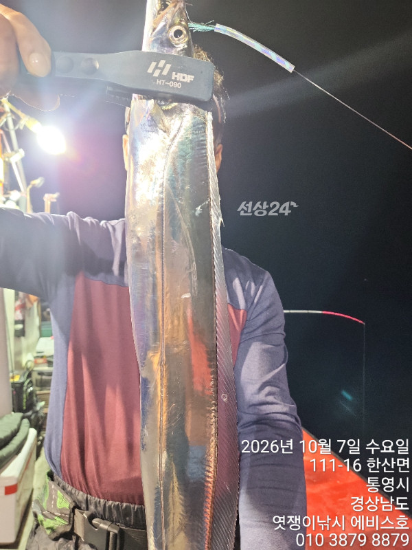 73172.jpg