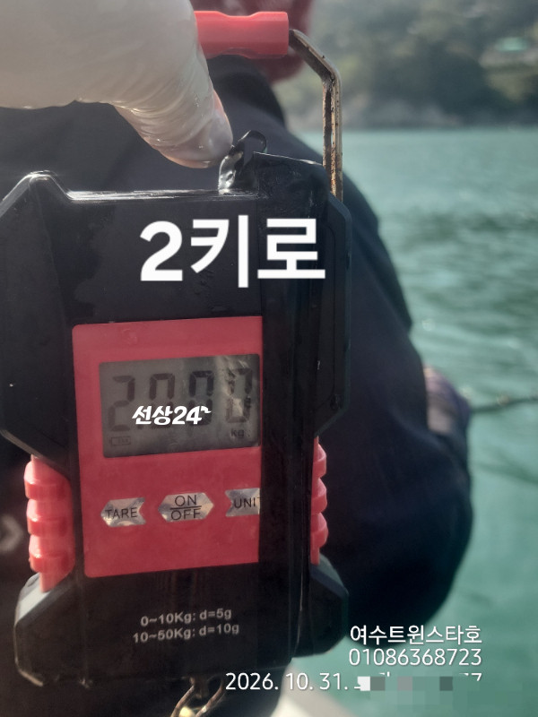 1000208427.jpg
