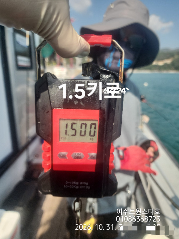 1000208415.jpg